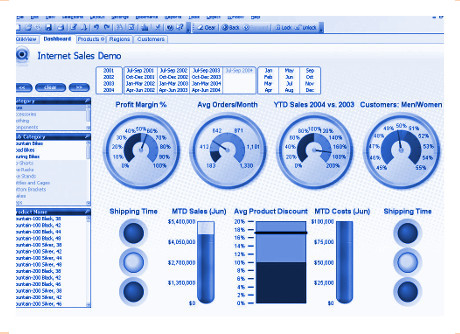 Business intelligence reports