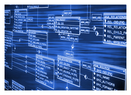 Integrazione software